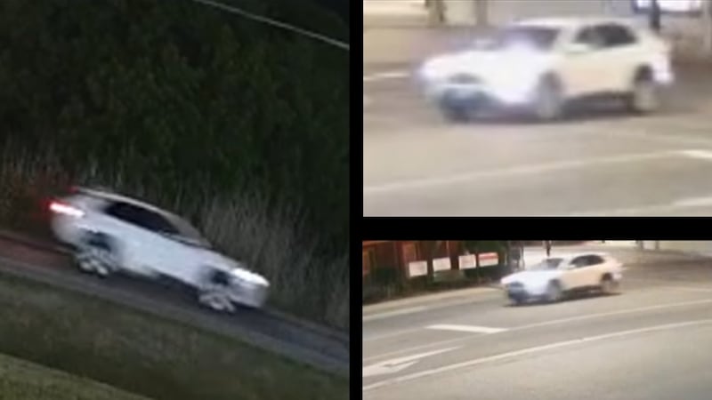 Police investigate hit-and-run on Hwy 89 that left woman, 35, dead on shoulder of road