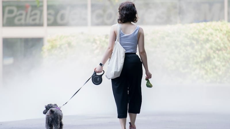 Montreal under heat warning as temperatures climb