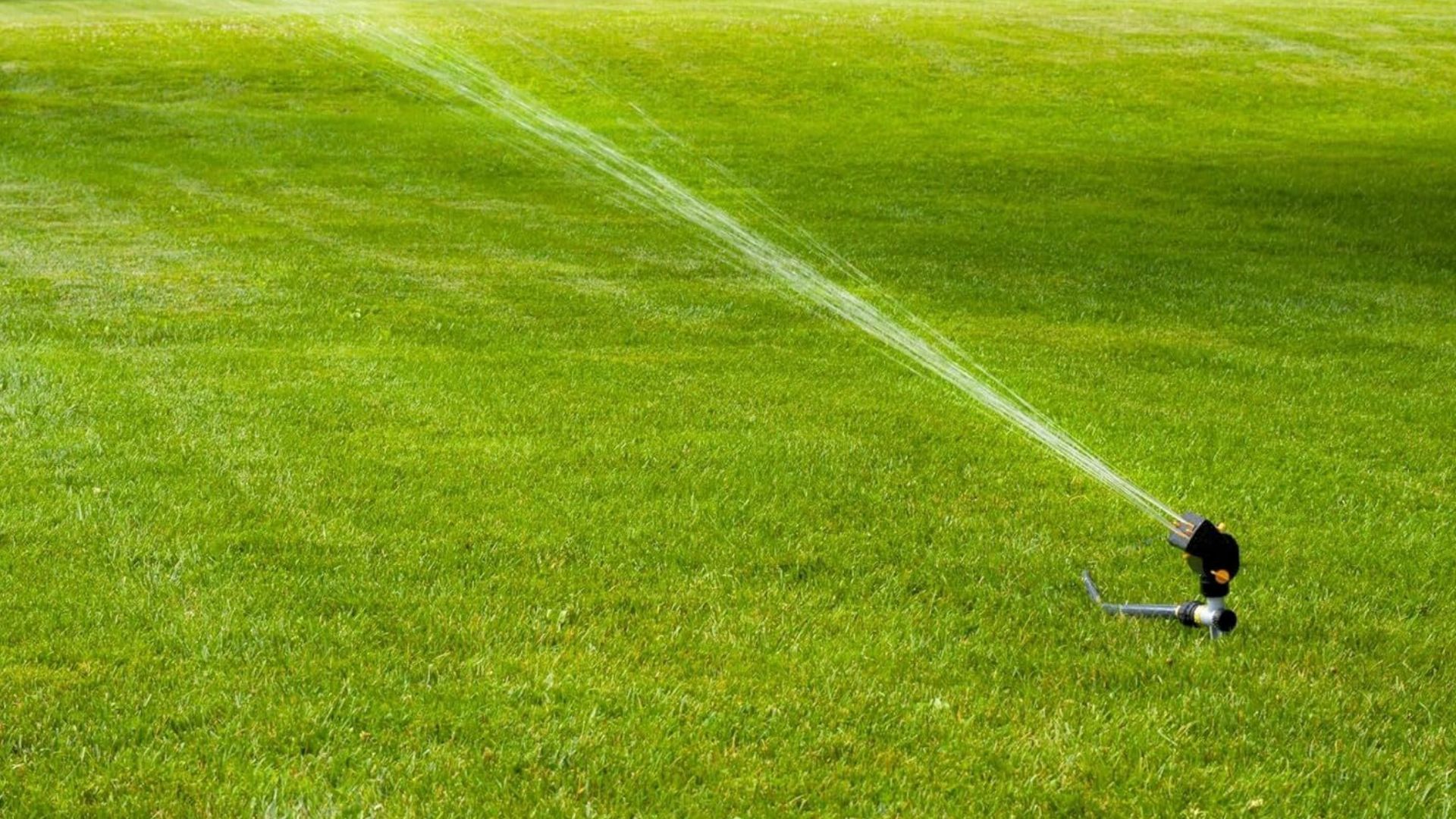 Our Guide To The Best Lawn Sprinklers In Canada In 2025 (And Where To Get Them)