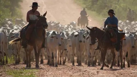 Getty Images Ranchers herding cattle in the Brazilian state of Mato Grosso do Sul