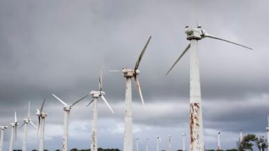 Gabriel Hansen and Michael Brandon Dead; Two Others Hospitalized Following Crash Near Redi Doti