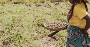 Cape Town to host global conference on gender in agriculture and water