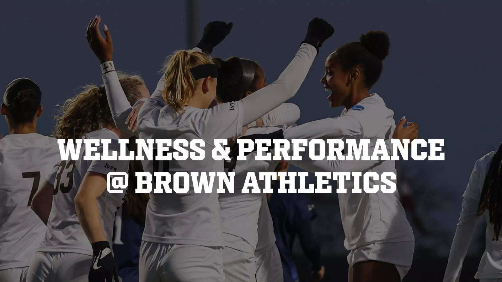 Wellness & Performance