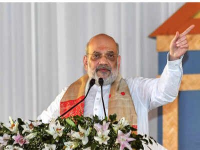 On Hindi Diwas, Union Home Minister Amit Shah says Indian languages should be backbone of tech, science, education