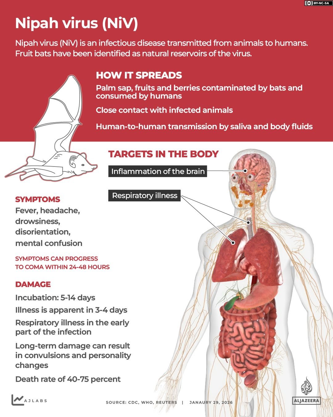Interactive_Nipah_Jan29_2026